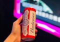 杭州上班轻松的酒吧招聘商务接待,应聘有哪些要求