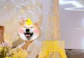 山西建设投资文案招聘（山西投资建设项目文案招募）