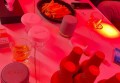 益阳厨师学校招聘文案（益阳烹饪艺术学院诚聘厨艺精英）