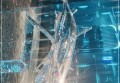 疫情期间的招聘文案（疫情时代下的独特招聘机遇）